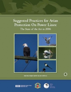 sp cover